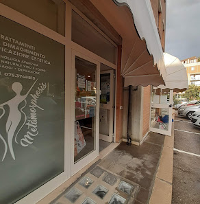 Immagine Metamorphosis Barbara Puziello 2