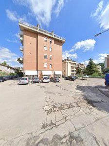 Immagine Metamorphosis Barbara Puziello 5