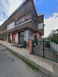 Immagine Artemisia Di Catalano Nunziata 2