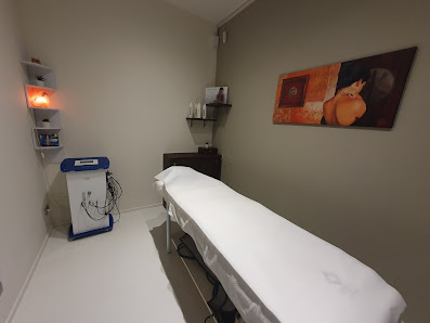 Immagine L'alba e la fenice 1