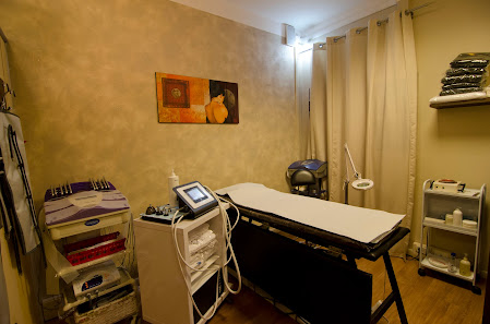 Immagine L'alba e la fenice 2