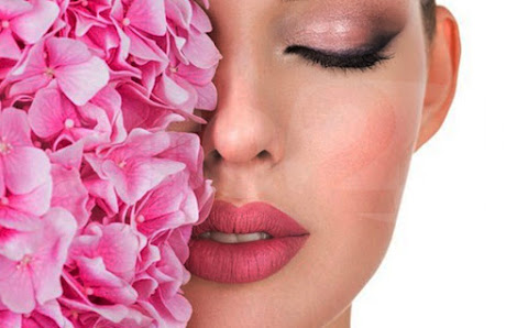 Immagine Studio Elisir 2