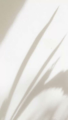 Immagine Anaïs Esthétique 3