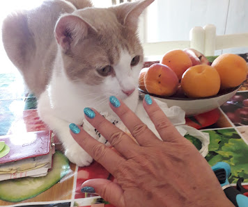 Immagine L' Estetica di Lu 2