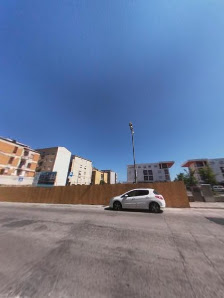 Immagine ZeroPeli Civitanova Marche 5