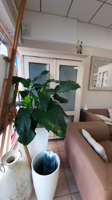 Immagine Sophistika 3