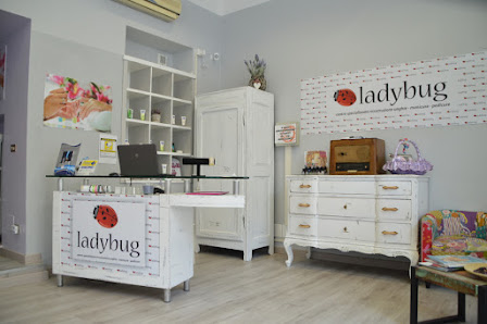 Immagine LADYBUG - VERCELLI 1