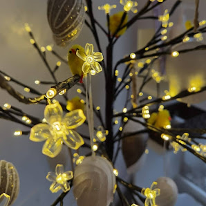 Immagine Estetica Beauty Center di Virginia Gaias 1