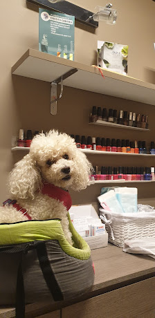 Immagine Estetica Bulli & Pupe Beauty Center 1