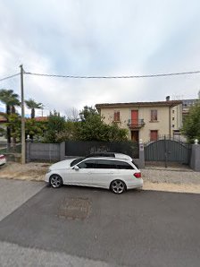 Immagine Sgarban Graziella 2