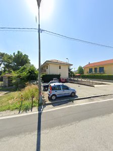 Immagine Ever Green 4