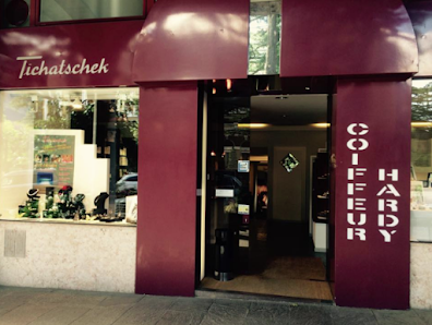 Immagine Salon Tichatschek 2