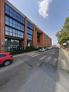 Immagine Figurella Cecina 3