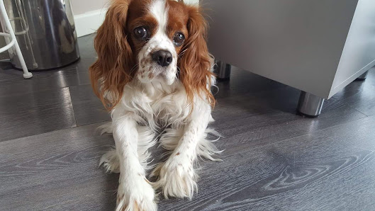 Immagine Chic Nails Bio Estetica 1