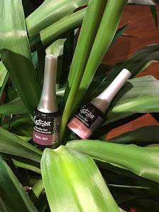 Immagine Estetica Montegobay 1