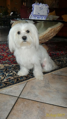 Immagine Armonia dei Sensi estetica e benessere 1