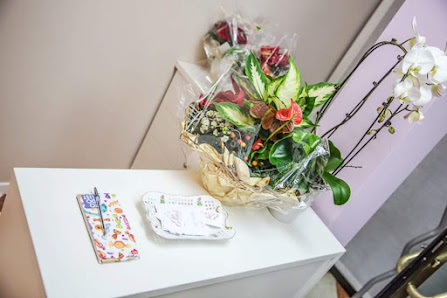 Immagine Centro Estetico Elisir di Galiazzo Giorgia Treviso 1