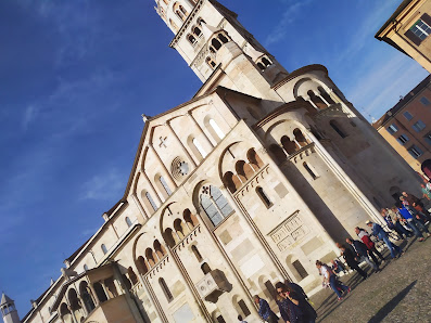 Immagine Papillon s.n.c di Roberto Pregnolato & C 1