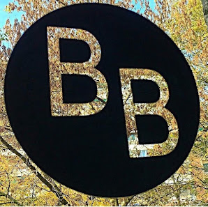 Immagine Balestra Beauty - Dimagrimento ed Estetica 4