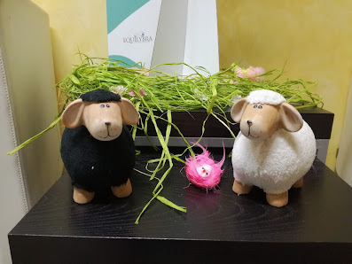 Immagine Equilybra 1