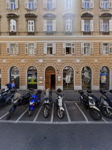 Immagine Weight Institute 4