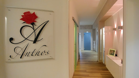 Immagine Istituto Anthos 1