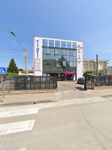 Immagine Xenia Palace 4