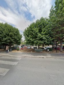 Immagine Centro Olistico Baobab 2