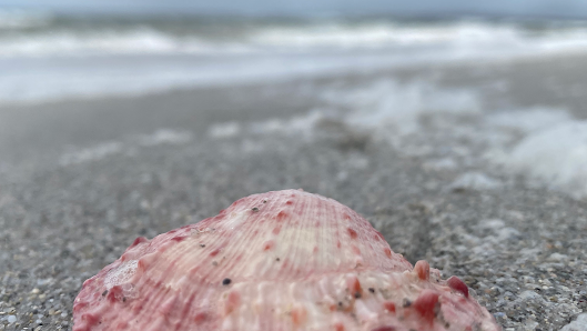 Immagine Centro Estetico Carla & Sandro dal 1985 1