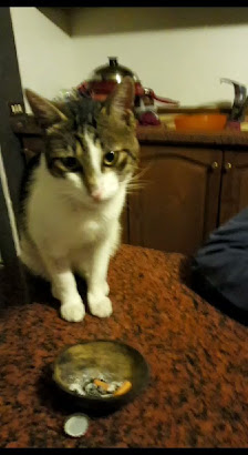 Immagine NATUROPATIA ESTETICA FLORIO 2