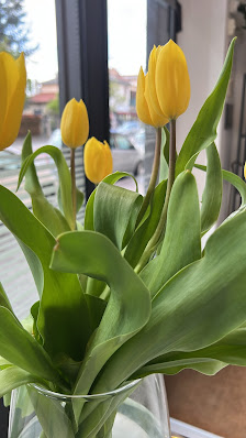 Immagine Centro di Bellezza L'estetica 1