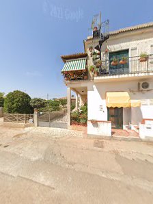 Immagine Cavallo Graziana 3