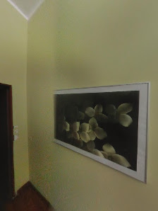 Immagine Jardin de Beauté Piacenza 2