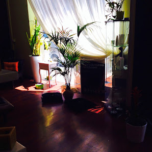 Immagine Jardin de Beauté Piacenza 3