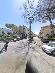 Immagine Macao Sole E Magia 2