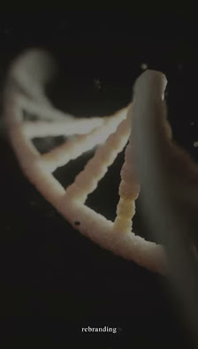 Immagine Experience Med 3