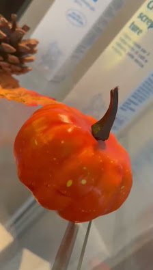 Immagine Estetica Elisir 3