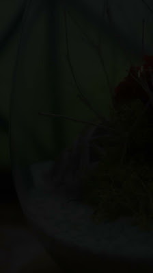 Immagine LUX Beauty Temple ALTA ESTETICA 3