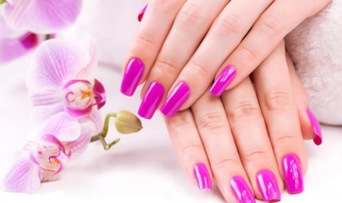 Immagine N2Nmarche 1