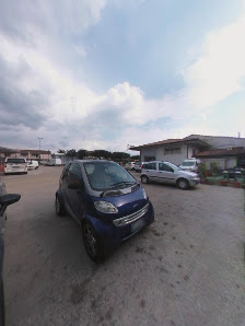 Immagine Miamo Frosinone 4