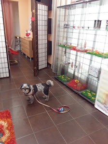 Immagine Parrucchiera Diamoci Un Taglio 1