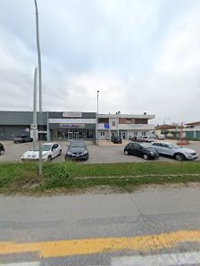 Immagine Estetica Rosa Blu 2