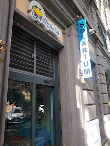 Immagine Solemania 2