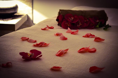 Immagine La Sorgente del Benessere CENTRO ESTETICO 5