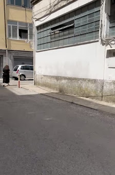 Immagine Vanilla Beauty 3