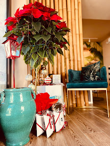 Immagine Harmony Beauty Center di Chiara Dal Porto 4