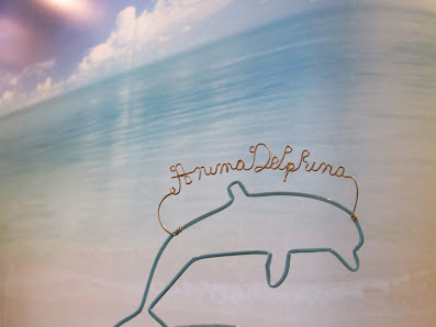 Immagine Anima Delphina 1