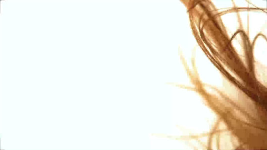 Immagine Antonio Paternò - Forbici e Follie 3