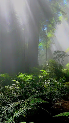 Immagine Centro Olistico Namaste 3