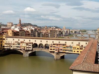 Immagine Il Solarium 1